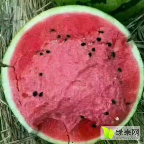 山东黄皮瓜价格今日,市场供需两旺
