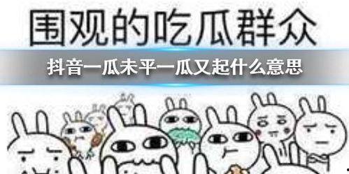 抖音热门吃瓜事件,揭秘热门吃瓜事件背后的真相与争议