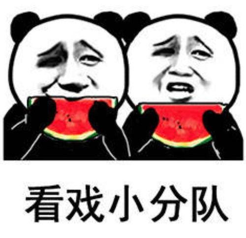 吃瓜表情包热门版,网络时代的“瓜界”风云录