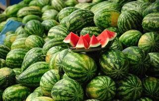 昆明小圆瓜今日行情,价格波动，市场供需分析