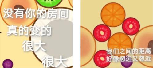 各大网络热门瓜,盘点近期热门瓜，揭秘娱乐圈风云变幻