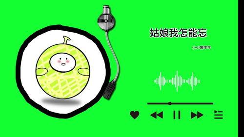 今日哈密瓜视频,甜蜜滋味背后的种植奥秘