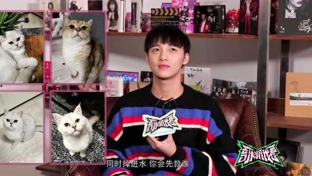 解说歌曲明星网红视频,一场视听盛宴的精彩回顾