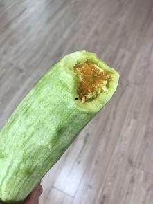 呼和浩特今日瓜价,今日瓜价行情一览”