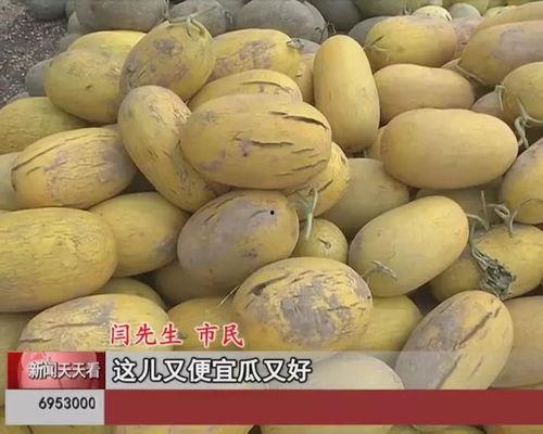 呼和浩特今日瓜价,今日瓜价行情一览”