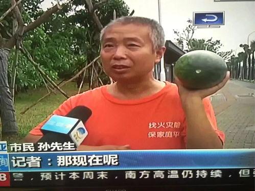 上热门吃瓜群众视频,一场全民参与的娱乐盛宴