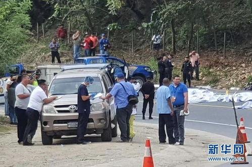 近期热门吃瓜事件魏县