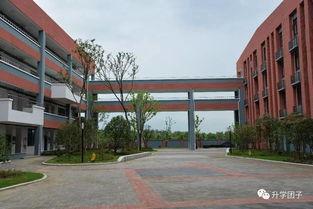 热门吃瓜无锡太湖学院,揭秘校园里的热门“吃瓜”事件