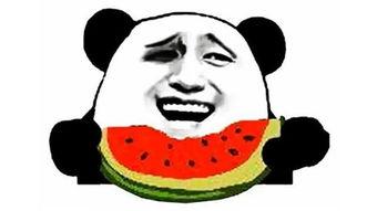 爆料中国吃瓜图片搞笑,爆笑图片盘点