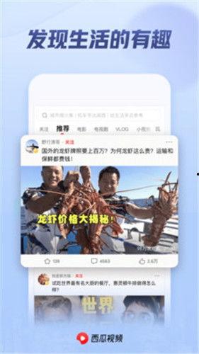 吃瓜大队爆料西瓜视频搜索,西瓜视频搜索背后的秘密