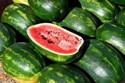 辽阳鲜瓜今日价格,品质瓜果，实惠之选