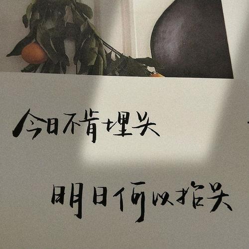 摘瓜热门文案句子图片,瓜熟蒂落，文案飘香