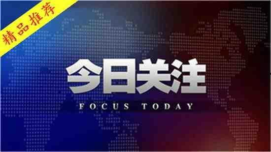 瓠瓜今日行情走势,今日走势解析与展望