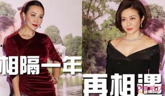 吃瓜各种热门事件刘嘉玲