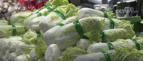 天津水瓜价格今日,实惠之选，市场行情一览