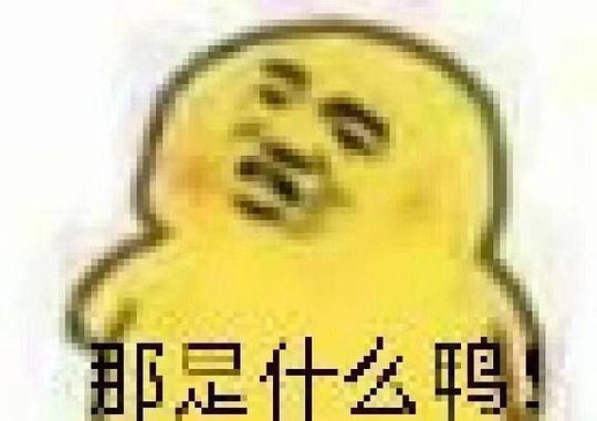 今日吃瓜表情包,笑料百出，欢乐无限