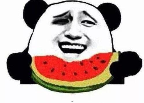 今日还有瓜吃吗,精彩内容等你来尝