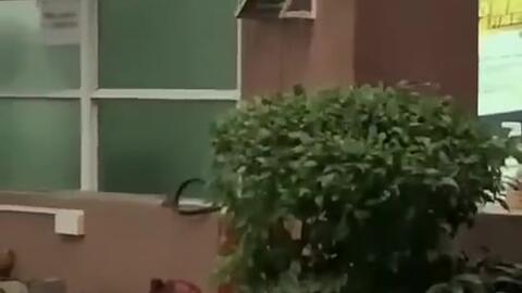 长春今日吃瓜新闻,揭秘热门事件背后的真相