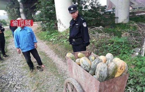 近期民间热门吃瓜事件,真相与八卦齐飞