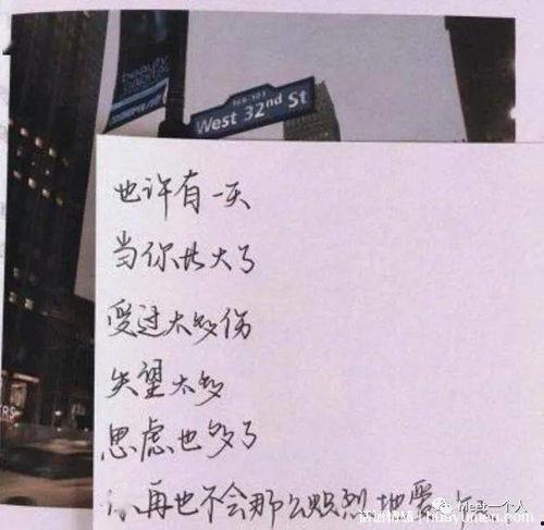 今日摘瓜文案短句,文案短句里的生活智慧
