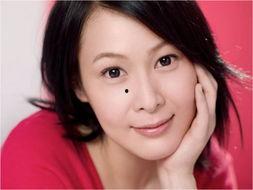 明星网红美女文章,时尚潮流与人气巅峰