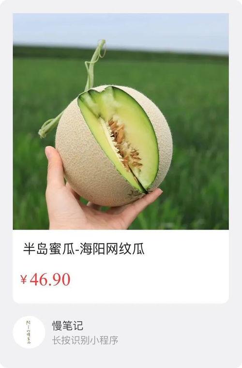 今日海阳网文瓜价格,瓜价波动，揭秘今日市场行情