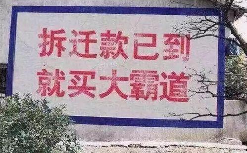 热门农村摘瓜的文案,体验乡村田园摘瓜的欢乐时光