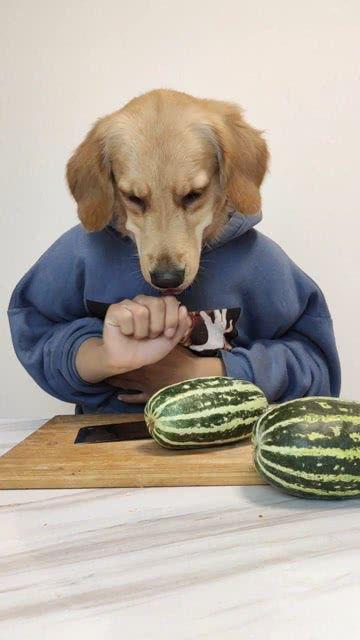 呱呱今日在线吃瓜,揭秘娱乐圈最新热点事件