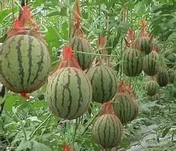 句容近期热门吃瓜事件,最新热门吃瓜事件揭秘！