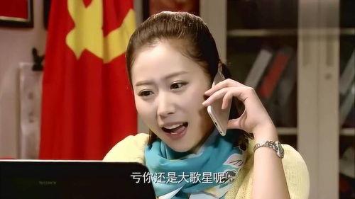 明星网红村打假,揭秘明星网红村背后的打假风云