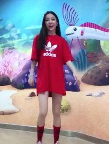 抖音节目明星网红,抖音明星网红风采展示