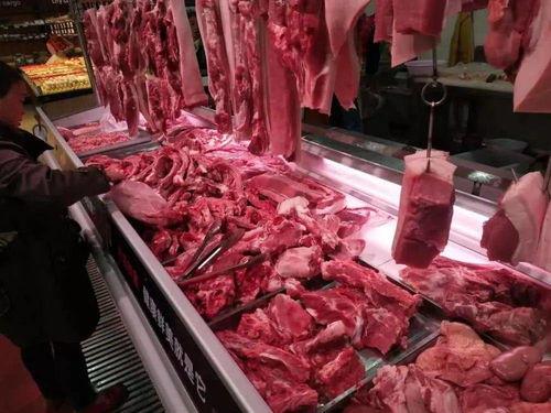 瓜州今日猪肉价,今日行情一览