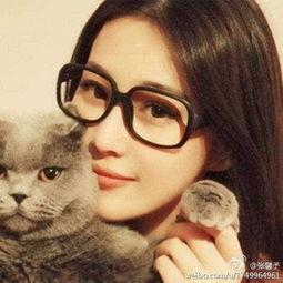 明星网红嘟嘟猫,网红界的时尚宠儿，引领潮流新风尚