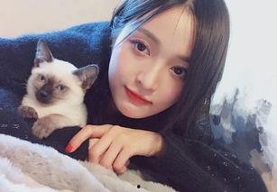 明星网红嘟嘟猫,网红界的时尚宠儿，引领潮流新风尚