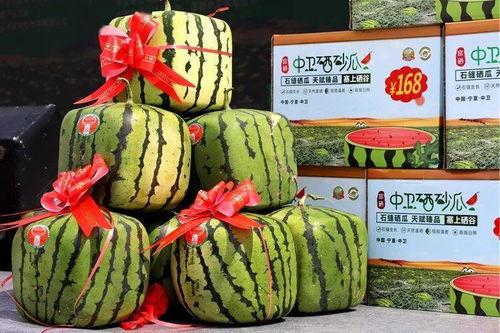 今日硒砂瓜行情,硒砂瓜市场行情实时解析