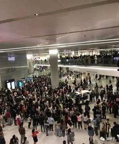 虹桥机场明星网红,明星网红打卡地，时尚潮流新地标