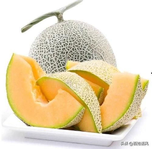 哈密瓜水果热门文案,夏日水果新宠
