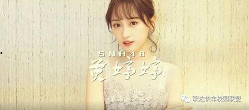 明星网红翻牌视频,翻牌视频背后的精彩故事