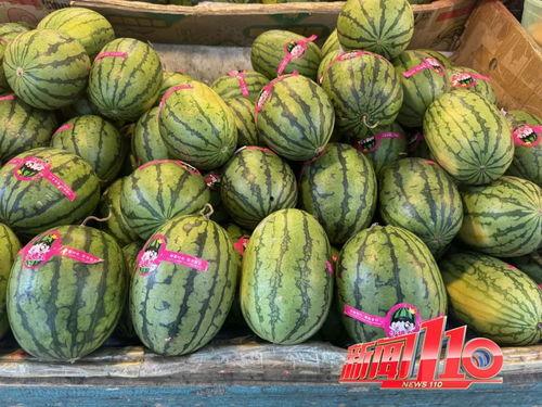 黑料不答应吃瓜,坚守原则，拒绝盲目吃瓜