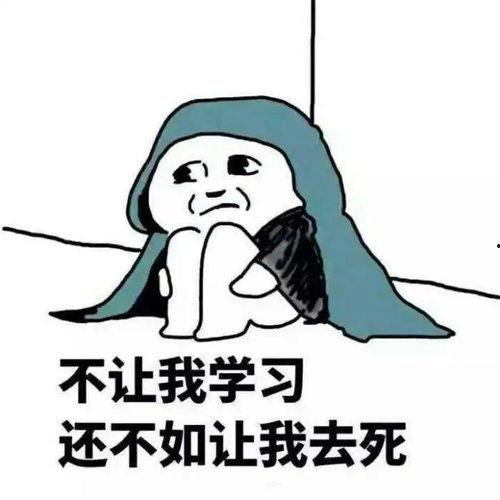 摘瓜的热门文案搞笑,笑果连连，瓜田里的欢乐盛宴