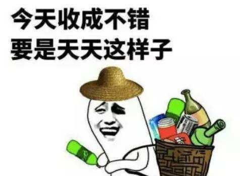 摘瓜的热门文案搞笑,笑果连连，瓜田里的欢乐盛宴