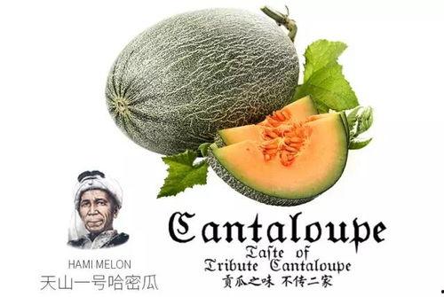 乌拉吃瓜爆料是真的吗,真相揭秘，是真是假？