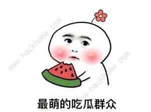 抖音热门瓜事件解析,揭秘网络舆论背后的真相与影响