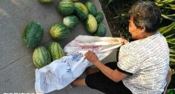 江安近期热门吃瓜事件,揭秘近期热门吃瓜事件背后的真相