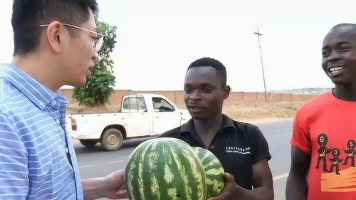 校园暴力黑料吃瓜,揭开校园霸凌的阴暗面