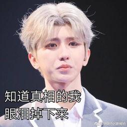 吃瓜爆料蔡徐坤优秀,吃瓜爆料中的全能偶像风采