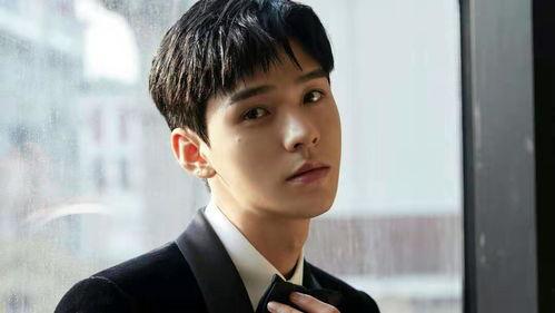 男性明星网红情节