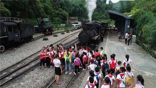 吃瓜黑料大爆炸,揭秘娱乐圈幕后真相