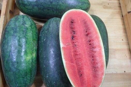 郑一亿黑料吃瓜,娱乐圈背后的真相与争议