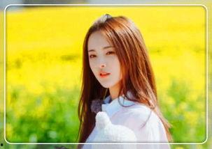 明星网红拍照地点,揭秘明星同款拍照地点